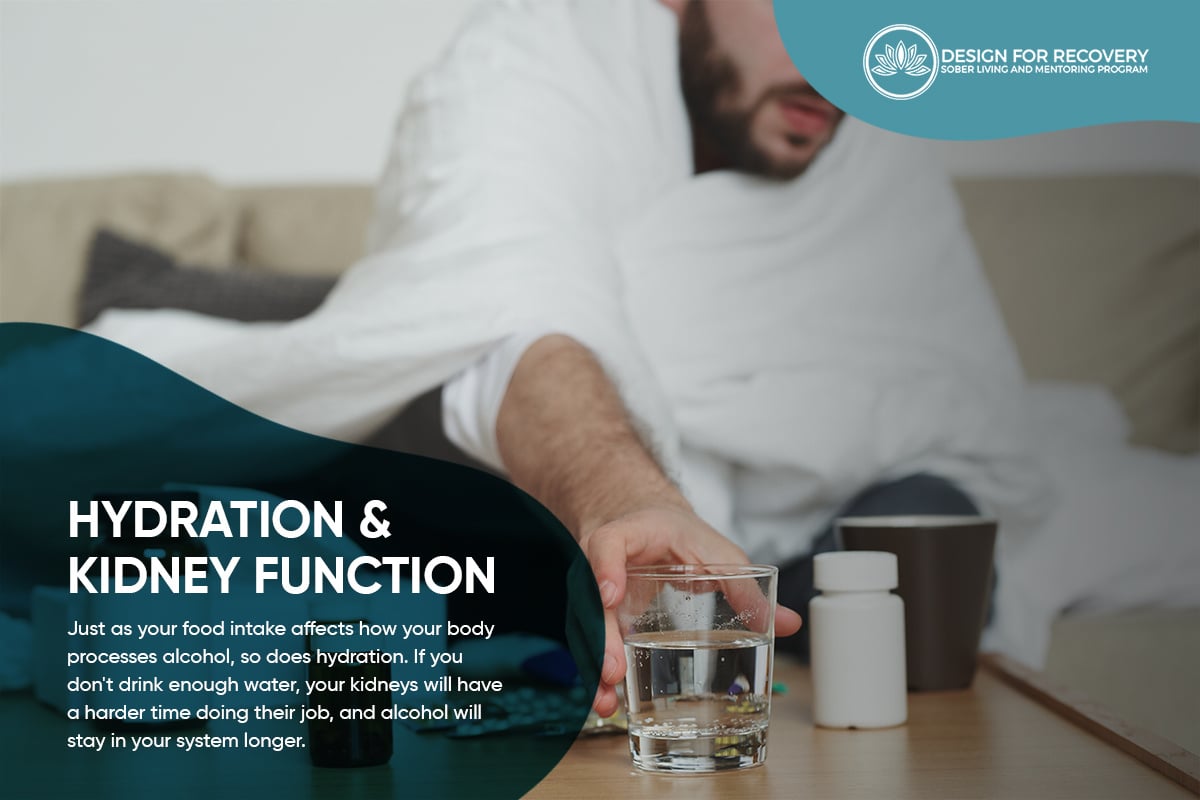 Hydration and Kidney Function as a factor for how long does alcohol stay in your body