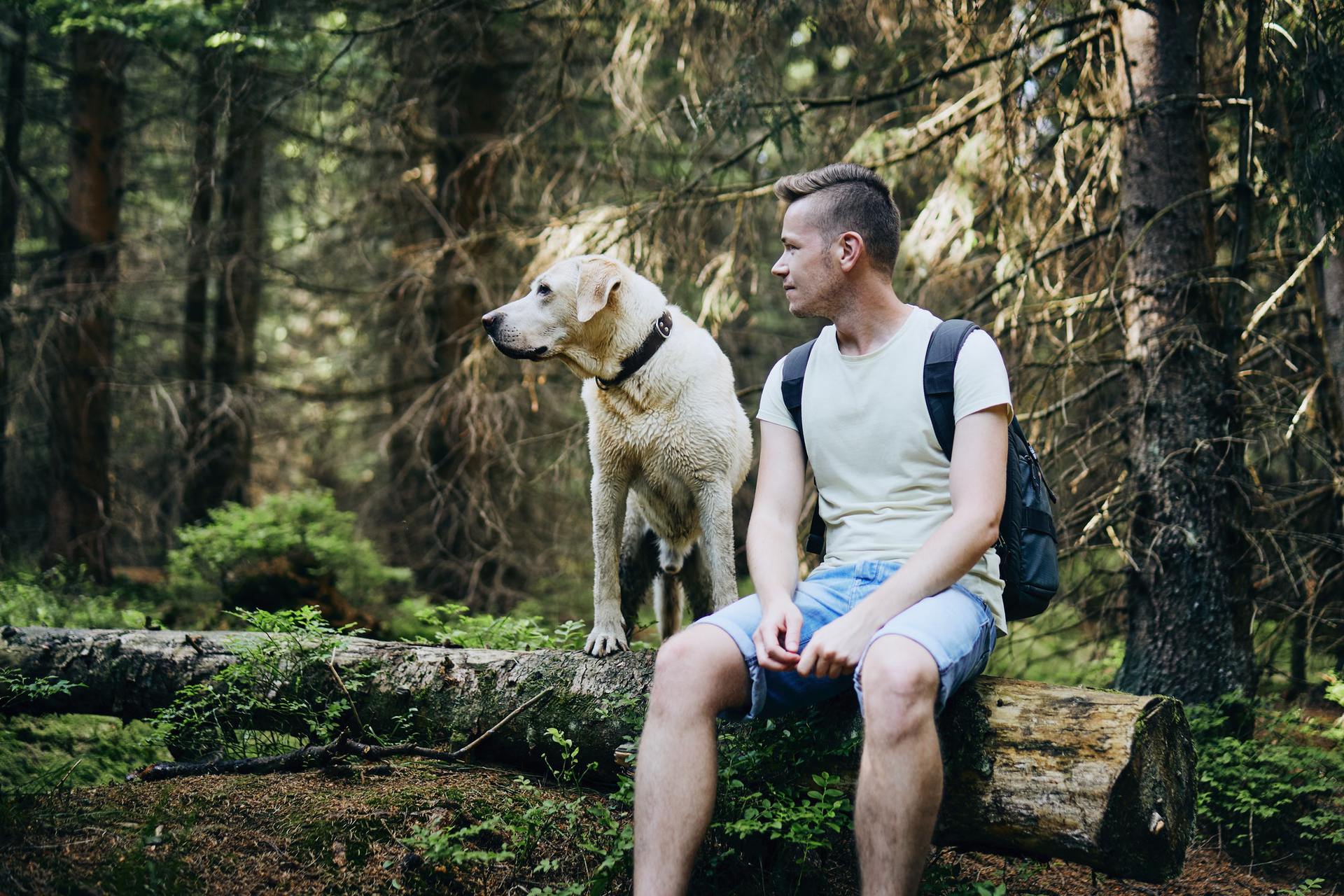 Man with dog in forest