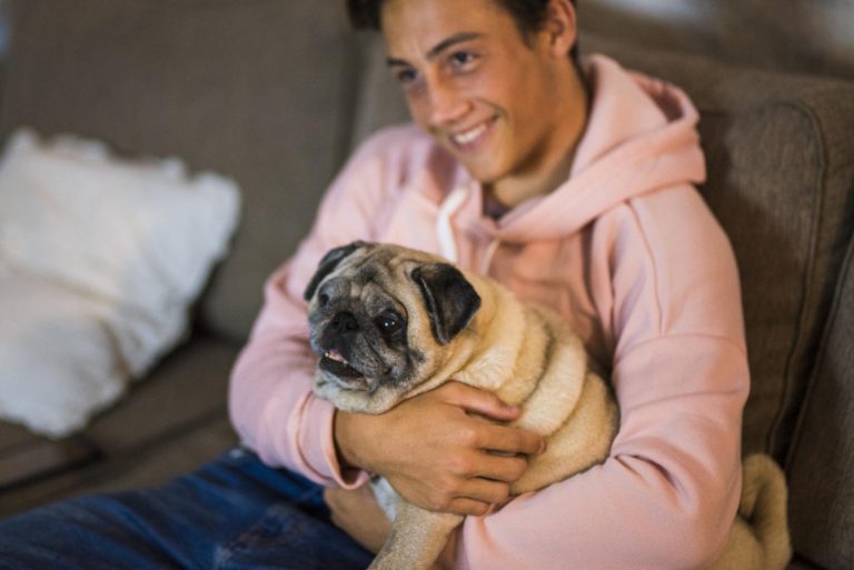 pug and teenager together hugged on the sofa - pet and domestic dog at home