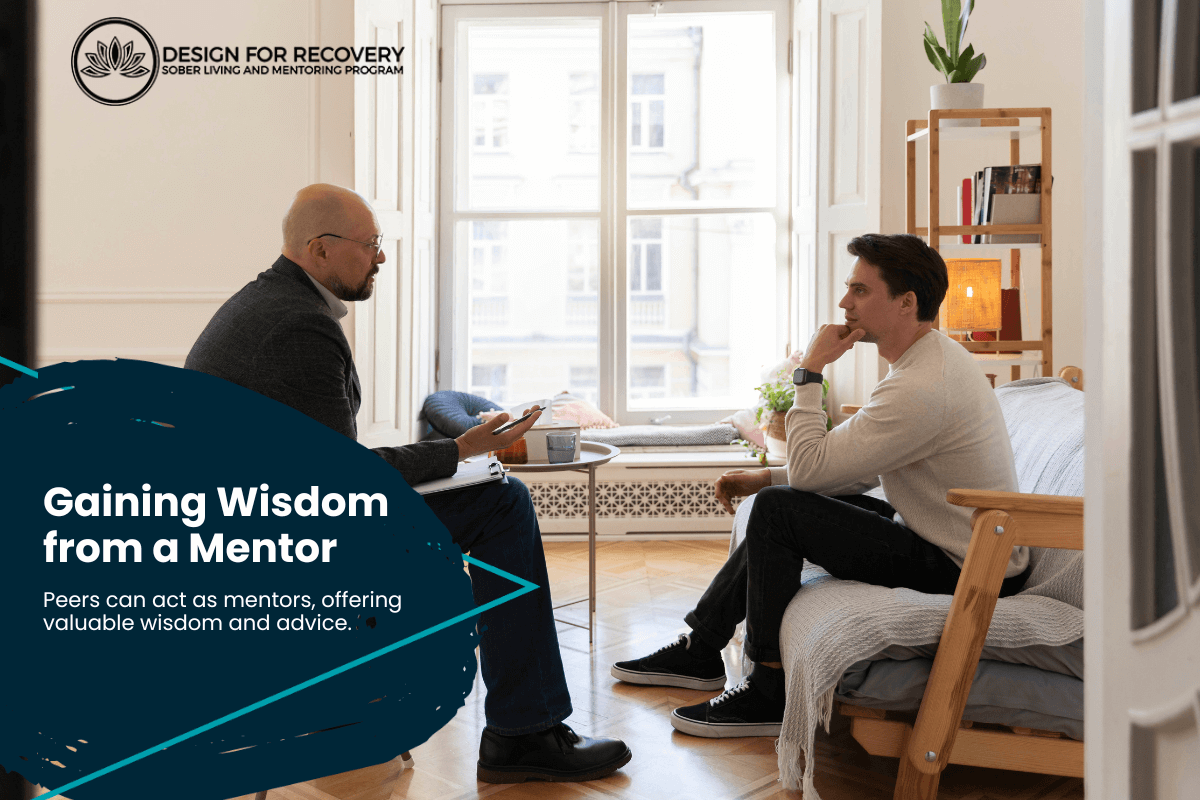 Gaining Wisdom from a Mentor Design for Recovery