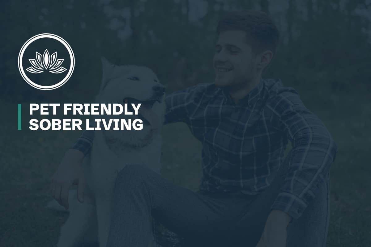 Pet Friendly Sober Living Design for Recovery