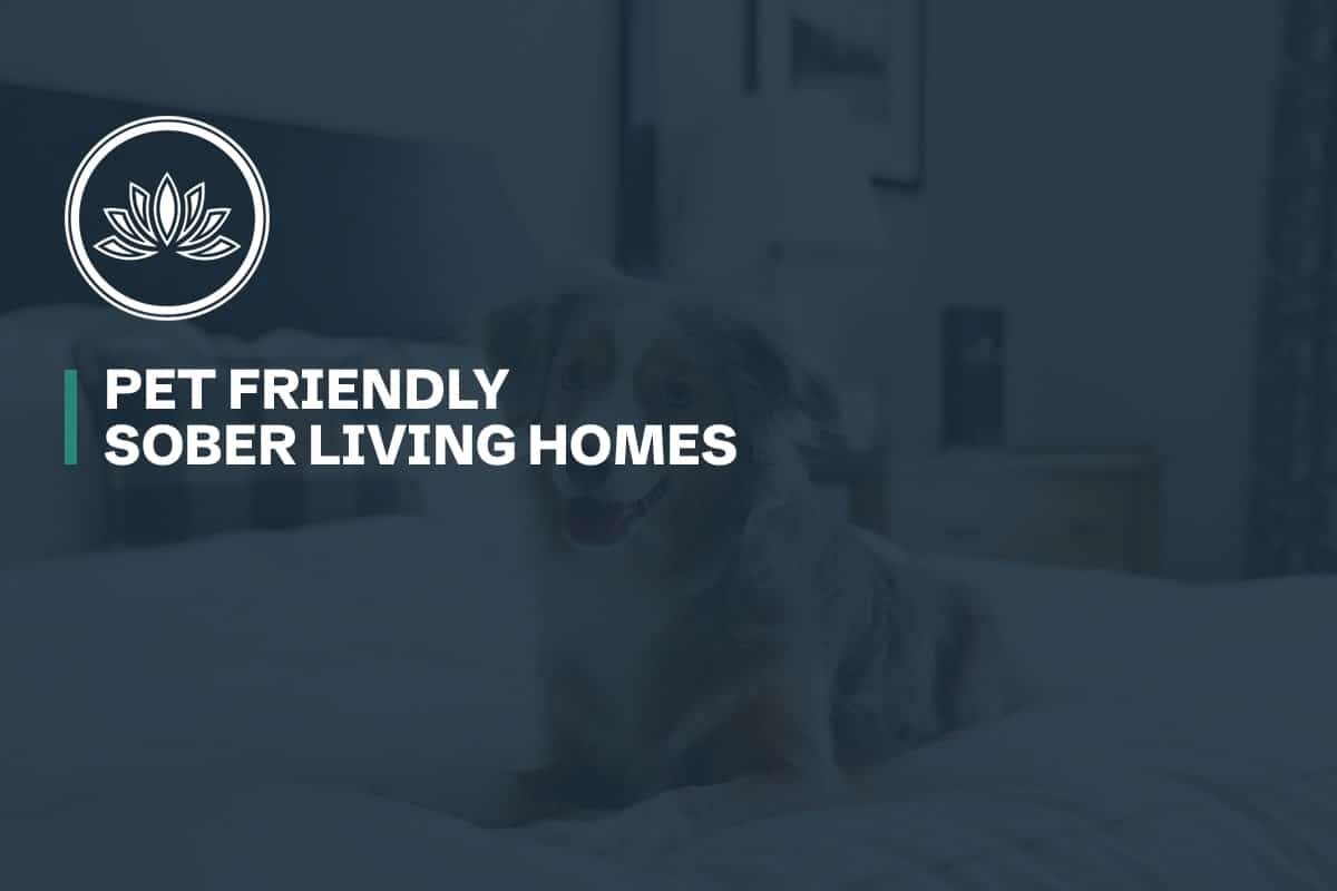 Pet Friendly Sober Living Homes 1 Design for Recovery